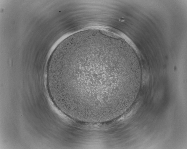 X0000062140955200512091212