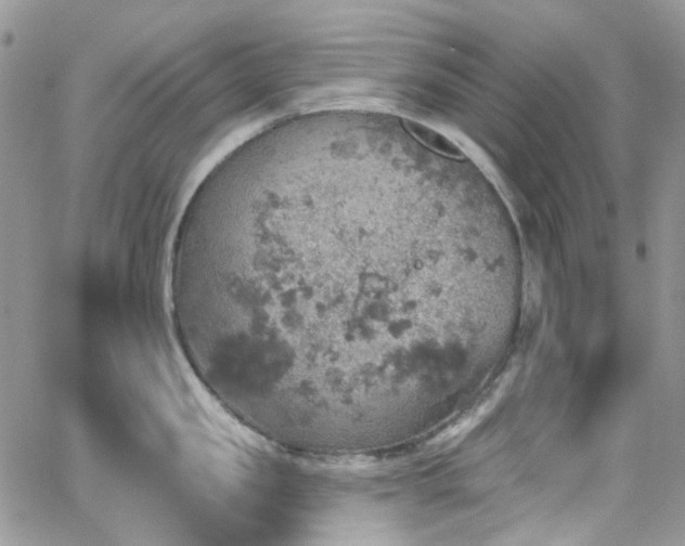 X0000062140957200512091212