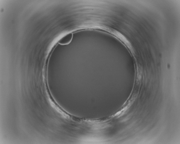 X0000062140958200512091212