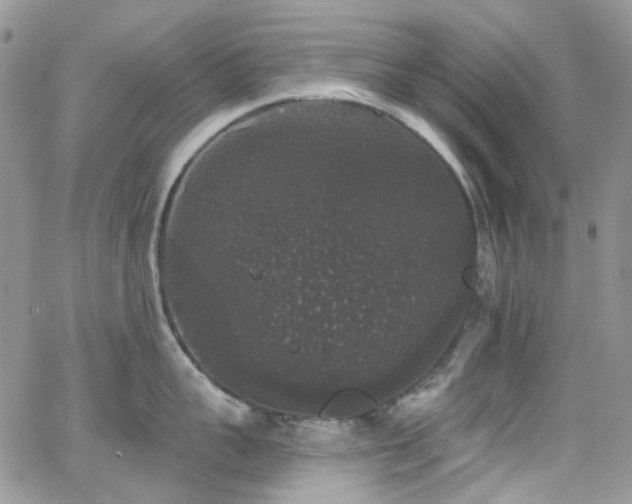 X0000062140959200512091212