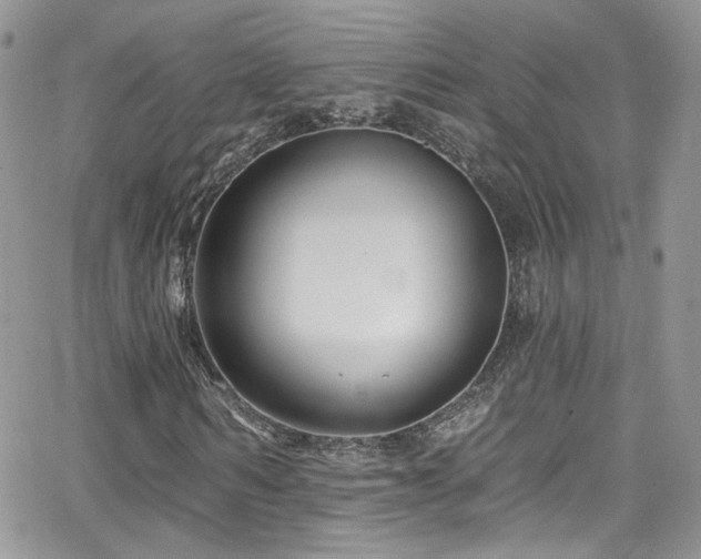 X0000062140962200512091211