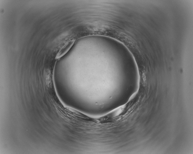 X0000062140963200512091211