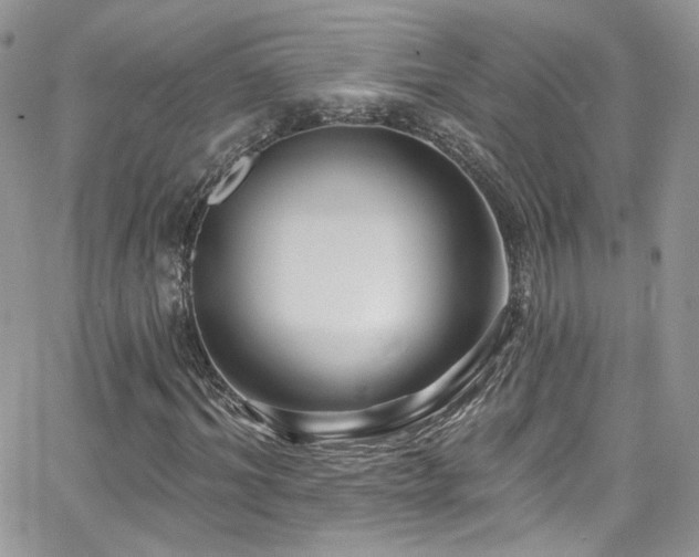 X0000062140964200512091211