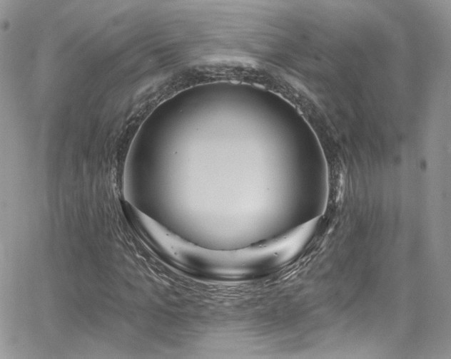 X0000062140965200512091211