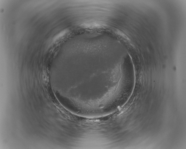 X0000062140966200512091211