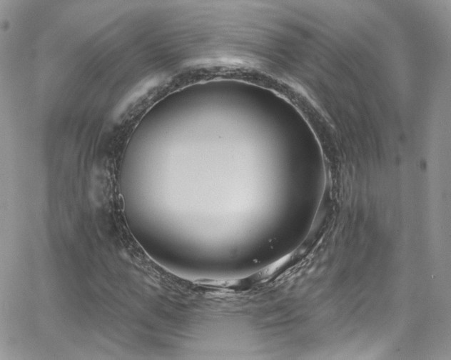 X0000062140967200512091211