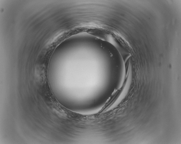 X0000062140968200512091211