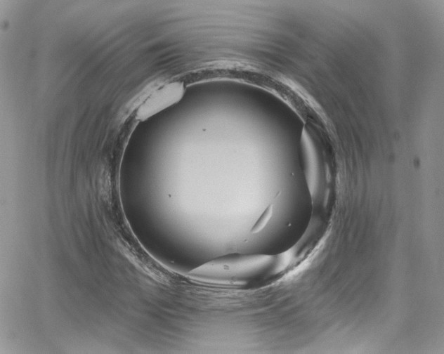 X0000062140969200512091211