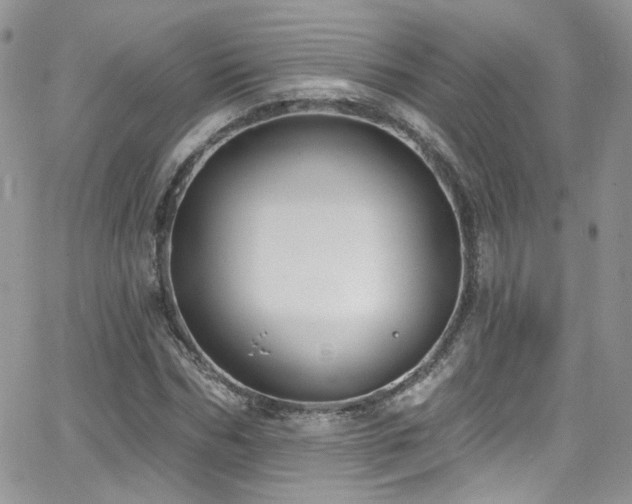 X0000062140970200512091211