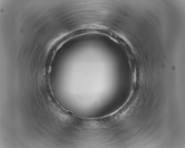 X0000062140971200512091211