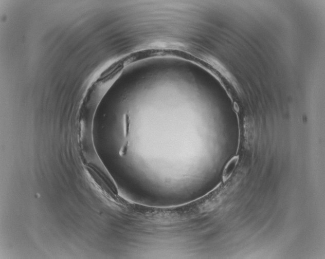 X0000062140972200512091211