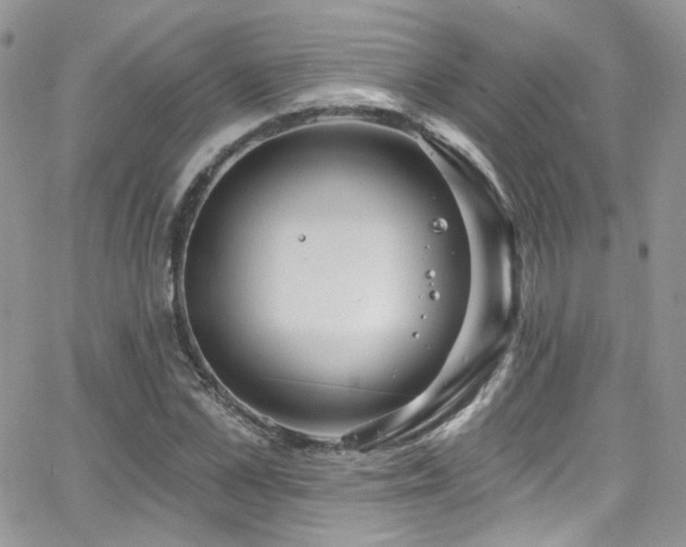 X0000062140973200512091211