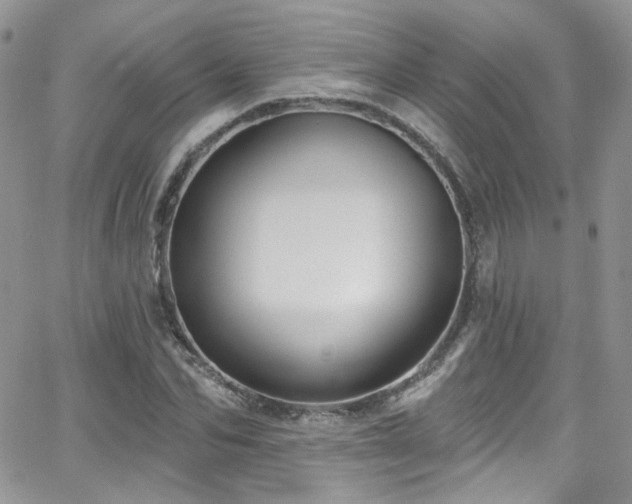 X0000062140974200512091211