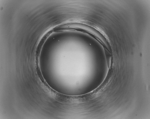 X0000062140976200512091211