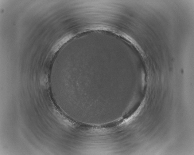 X0000062140977200512091211