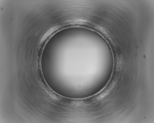 X0000062140978200512091211