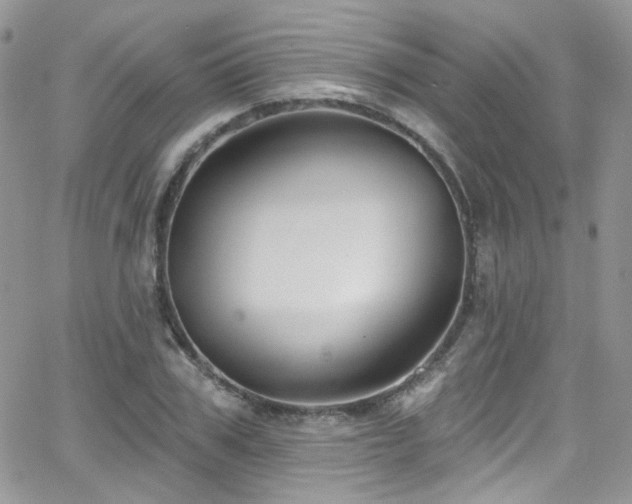 X0000062140979200512091211