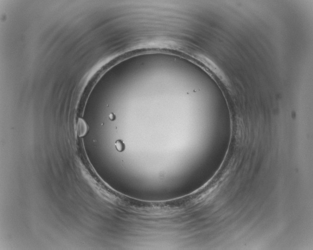 X0000062140980200512091211