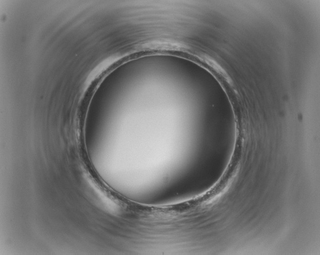 X0000062140981200512091211