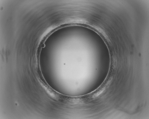 X0000062140982200512091211