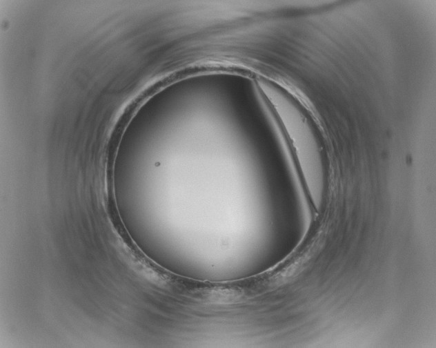 X0000062140984200512091211