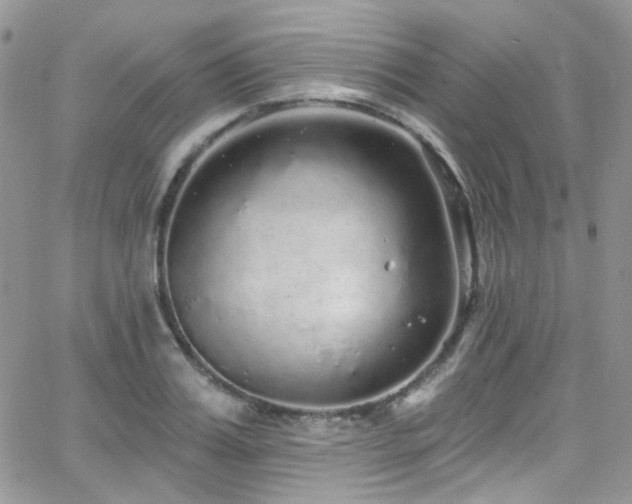 X0000062140987200512091210