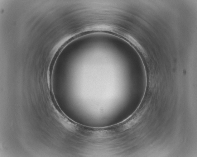 X0000062140988200512091210