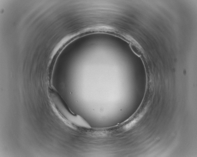 X0000062140989200512091210