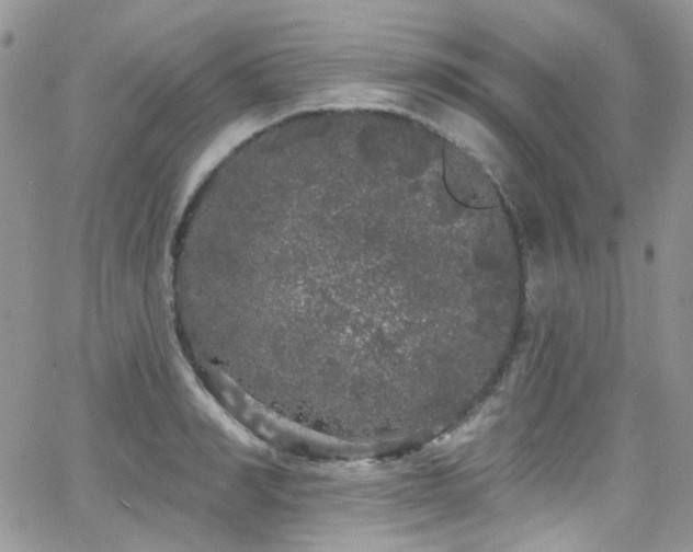 X0000062140990200512091210