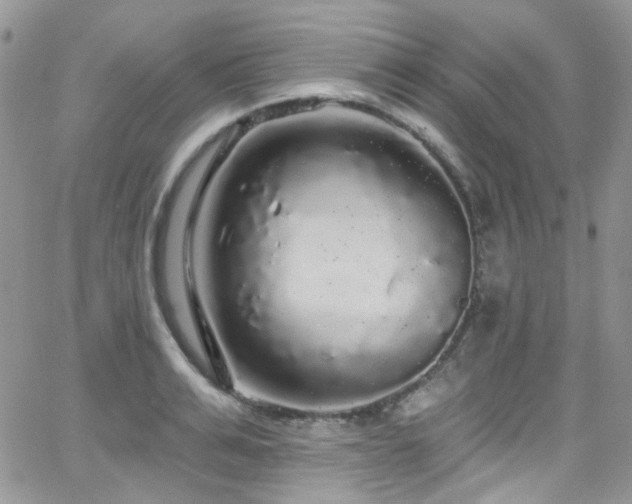 X0000062140991200512091210