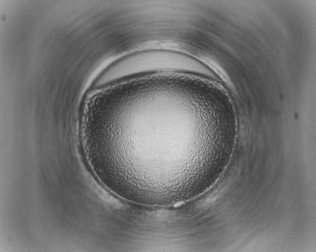 X0000062140992200512091210