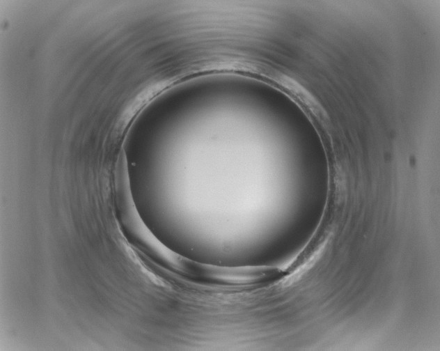 X0000062140993200512091210