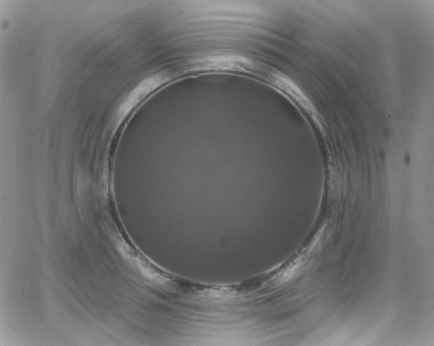 X0000062140994200512091210