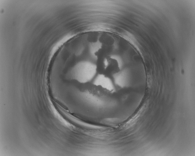 X0000062140995200512091210