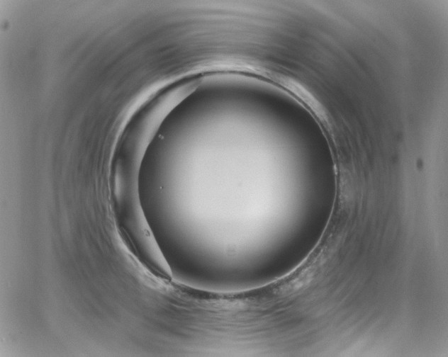 X0000062140996200512091210