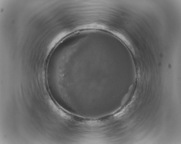 X0000062140998200512091210