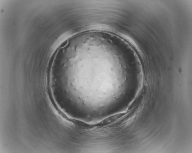 X0000062140999200512091210