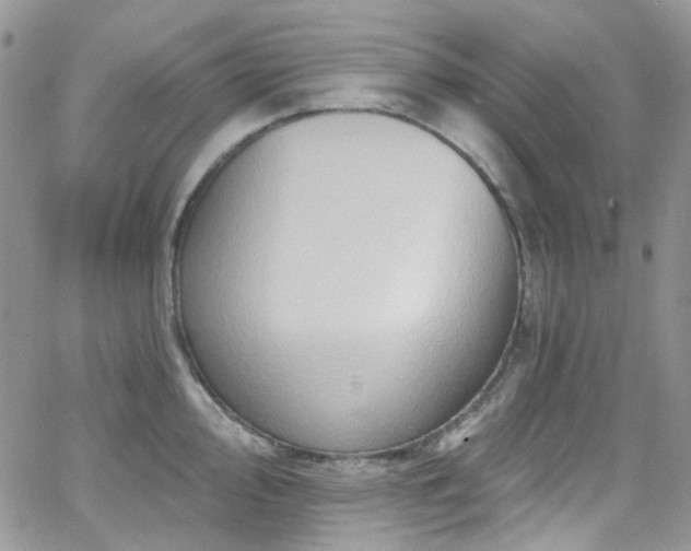 X0000062141000200512091210