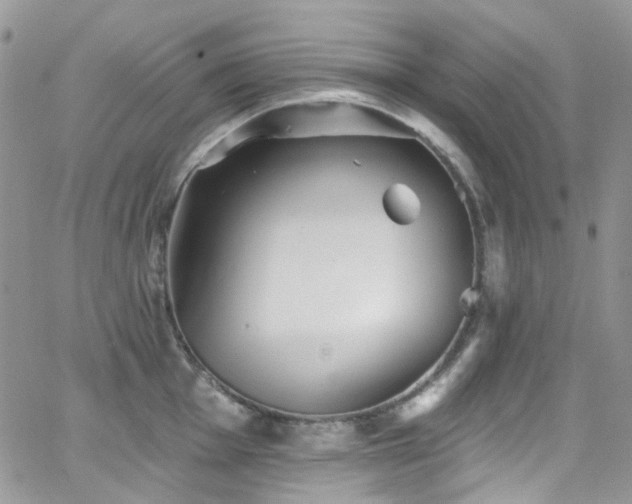 X0000062141001200512091210