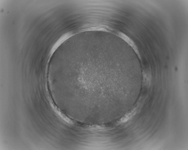 X0000062141002200512091210