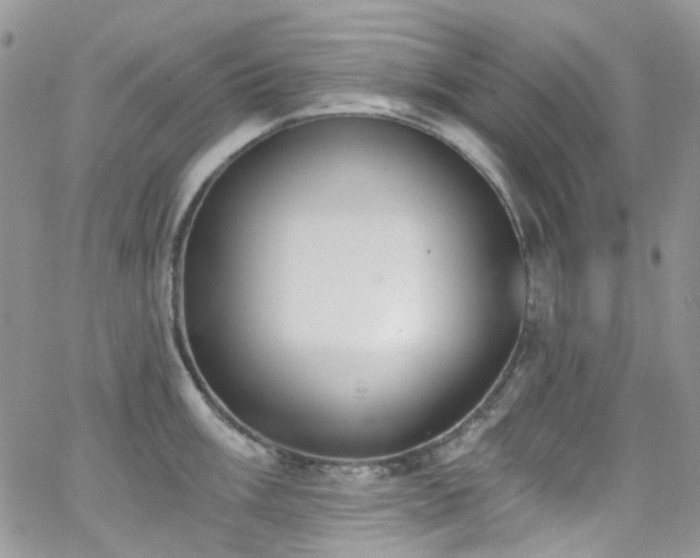 X0000062141003200512091210