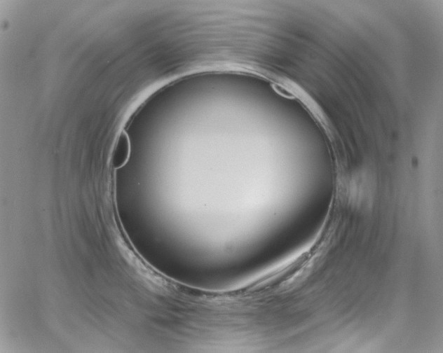 X0000062141004200512091210