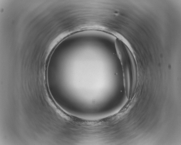 X0000062141005200512091210