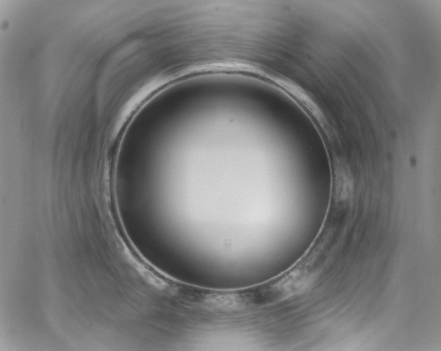 X0000062141006200512091210