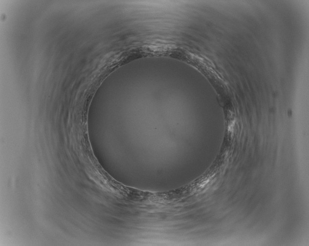 X0000062141009200512091209