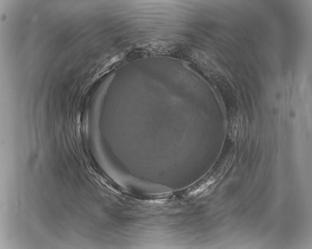 X0000062141010200512091209