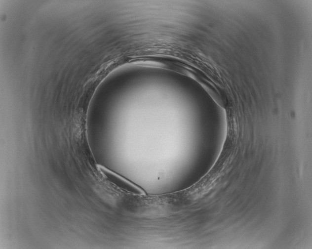 X0000062141012200512091209