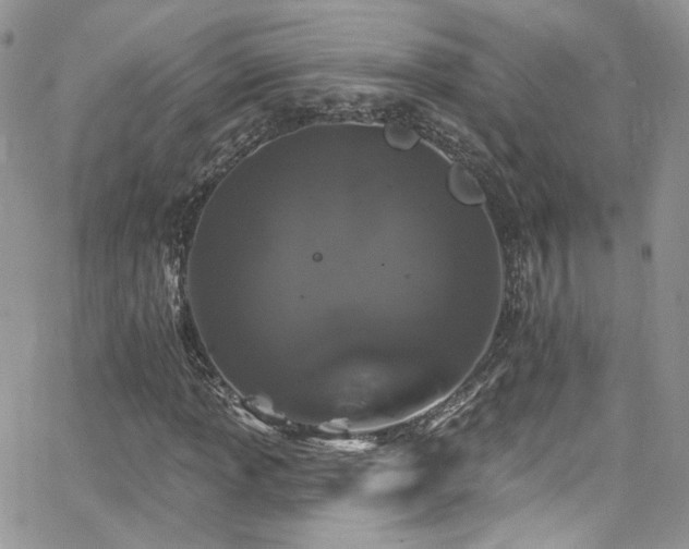 X0000062141013200512091209