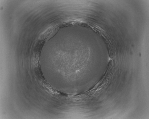 X0000062141014200512091209