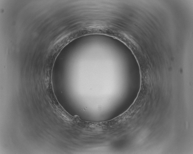 X0000062141015200512091209